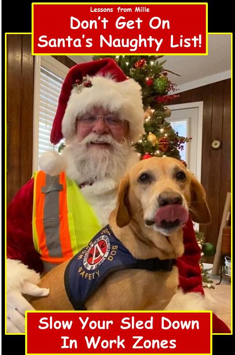 Millie, a yellow Labrador Retriever, poses in Santa's lap in front of a Christmas tree. Text on a frame around the image says Lessons from Millie Don't Get On Santa's Naughty List! Slow Your Sled Down in Work Zones