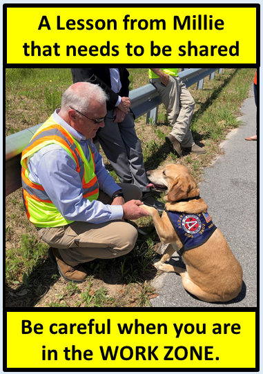 Millie, , a yellow Labrador Retriever, shakes her owners hand on the side of the road. Text on a frame around the image says A Lesson from Millie that needs to be shared. Be careful when you are in the WORK ZONE.