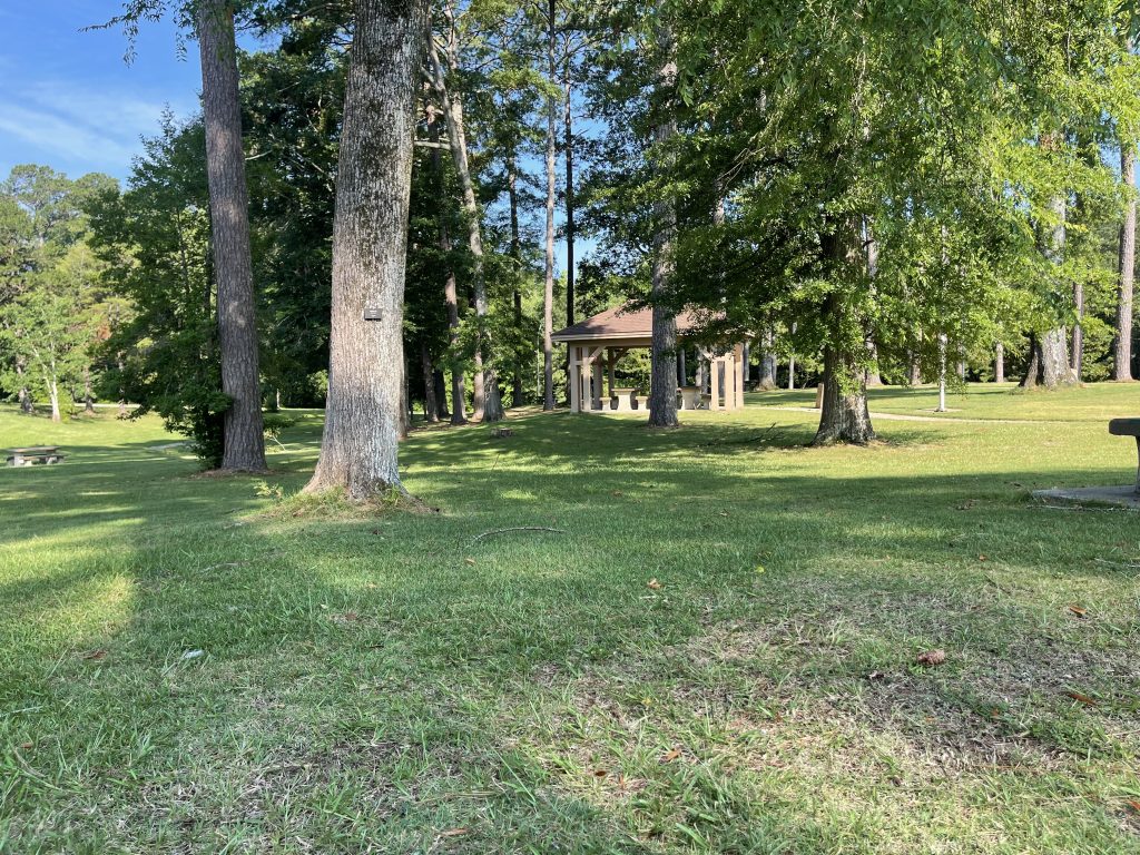 The Greene County northbound rest area off I-59/20.