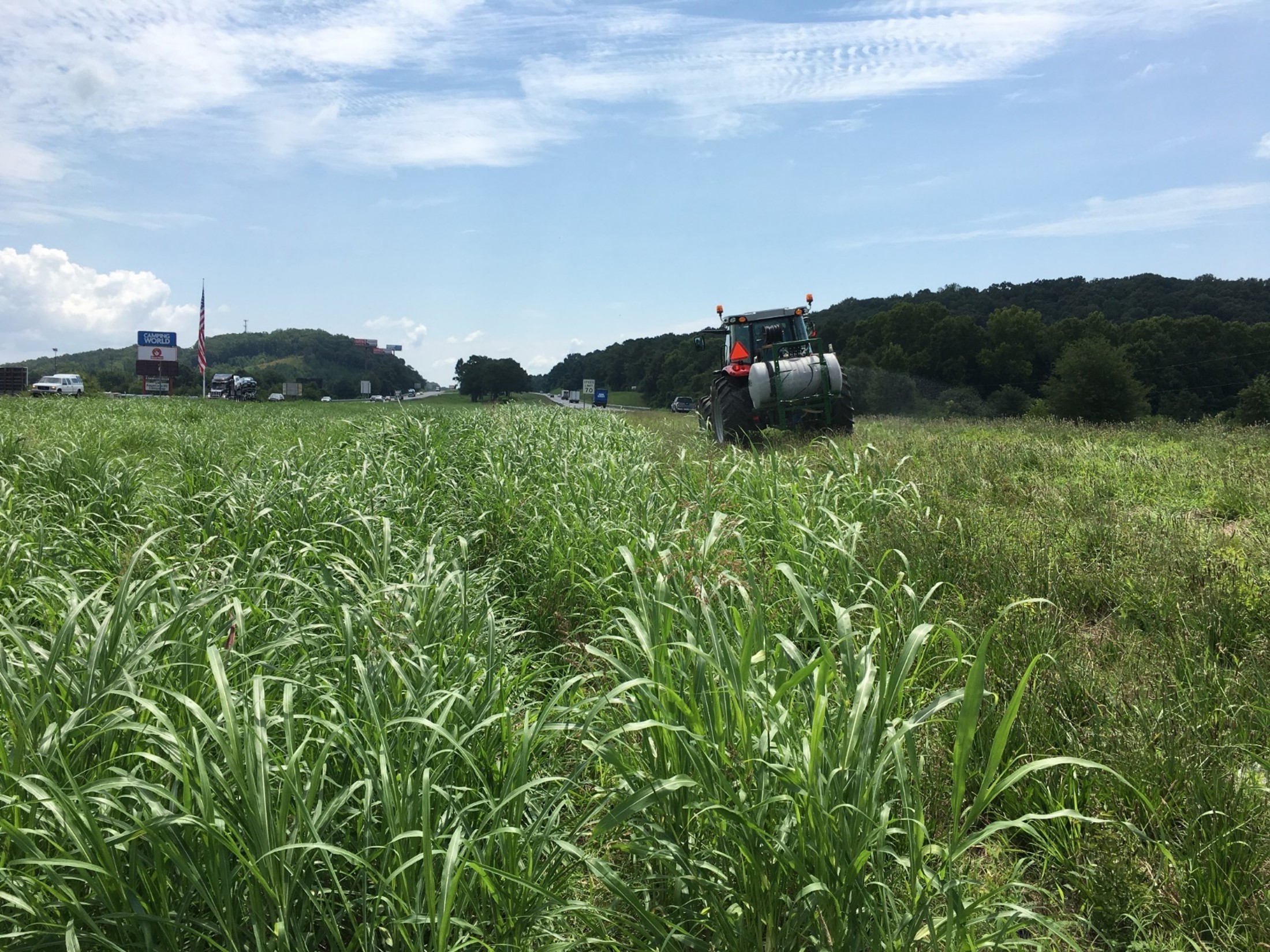 This is a picture of a tractor spraying a field of tall grass. The tractor appears to be equipped with a large tank and sprayer, likely applying herbicide or pesticide to the vegetation.