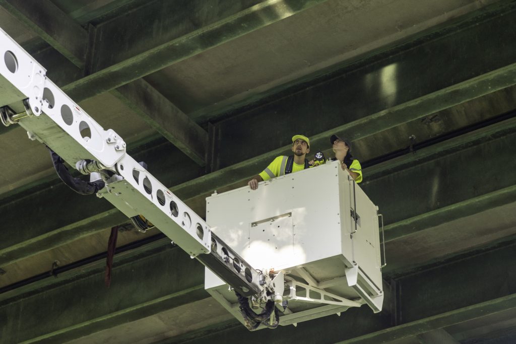 ALDOT crew members look for bats under the Woolsey Finnell Bridge in Tuscaloosa on August 3, 2024.