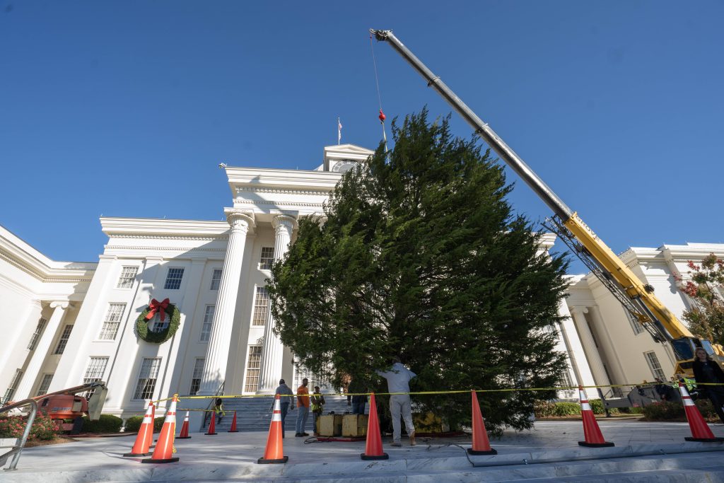 Christmas tree being hoisted into place at the Alabama State Capitol.