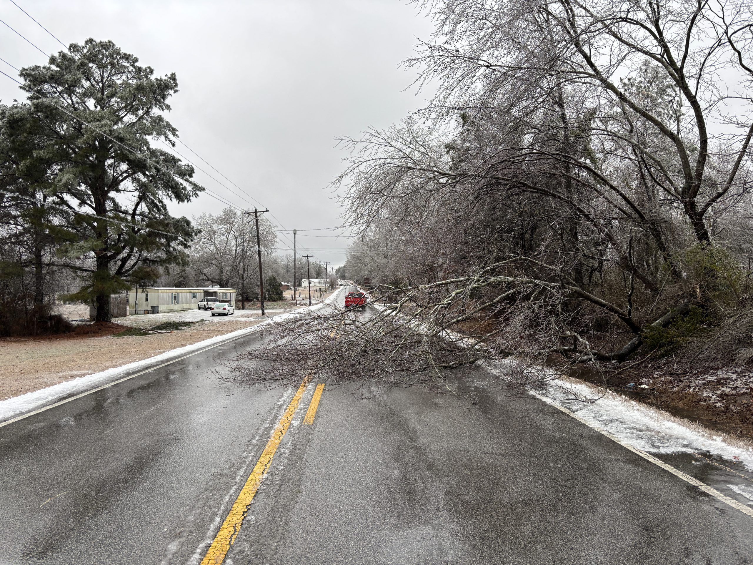 An icy tree leaning into a roadway