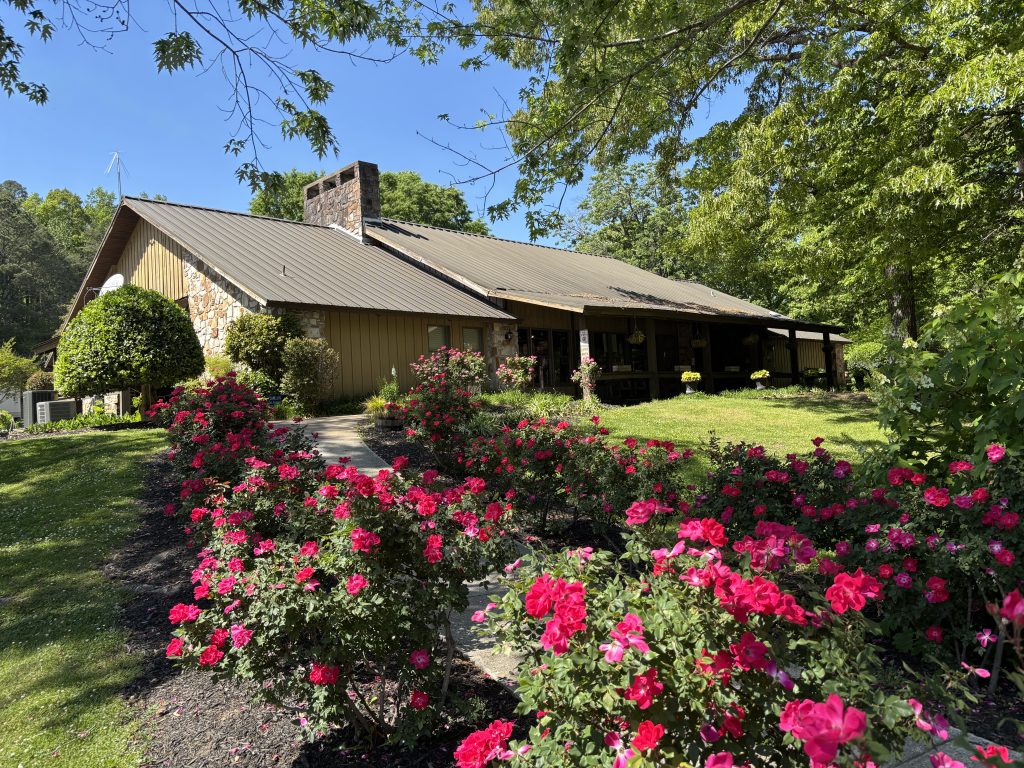Bushes with flowers line a path to a building.