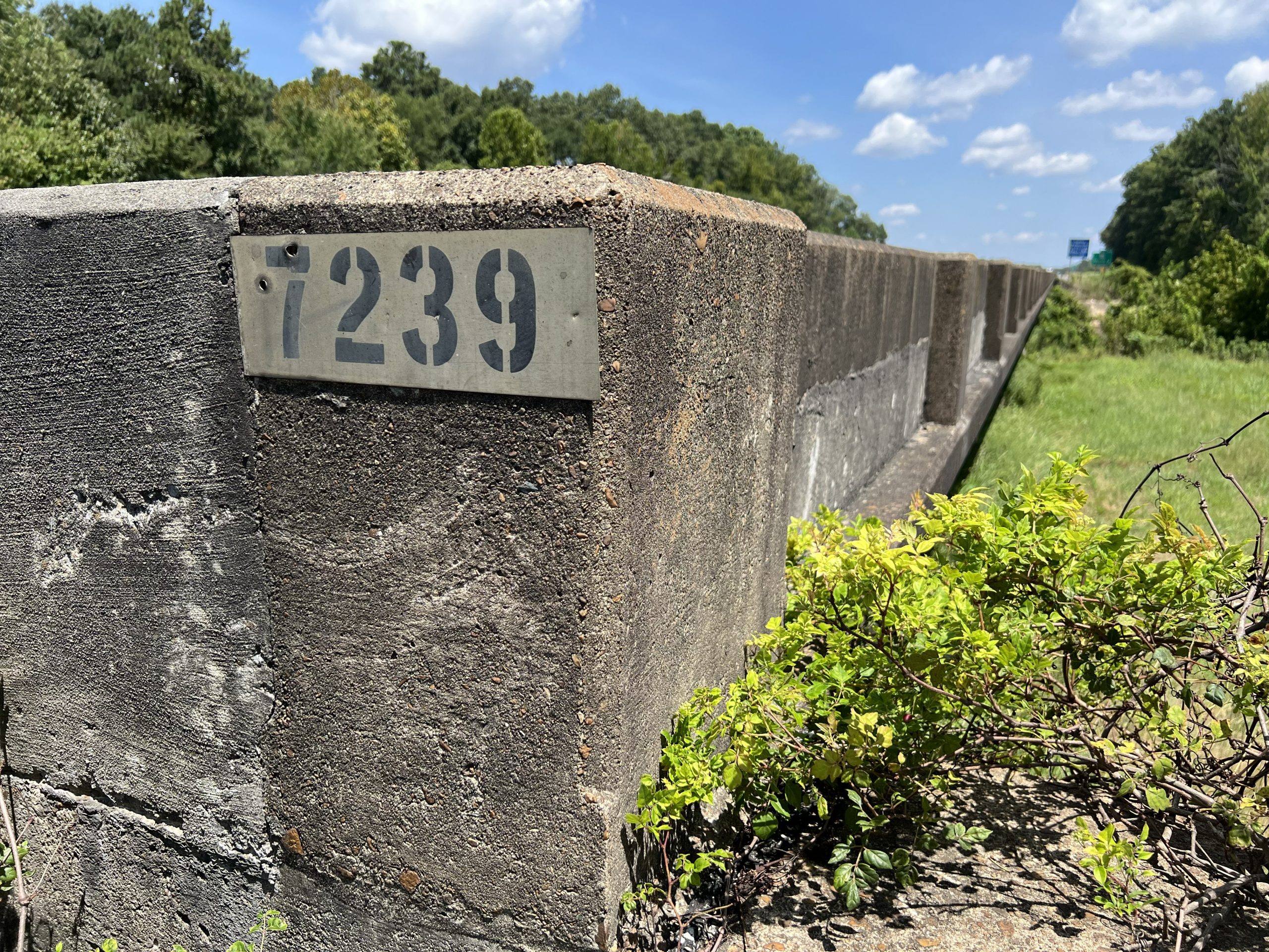 ALDOT is proposing to replace two sets of bridges on I-59 in St Clair County.