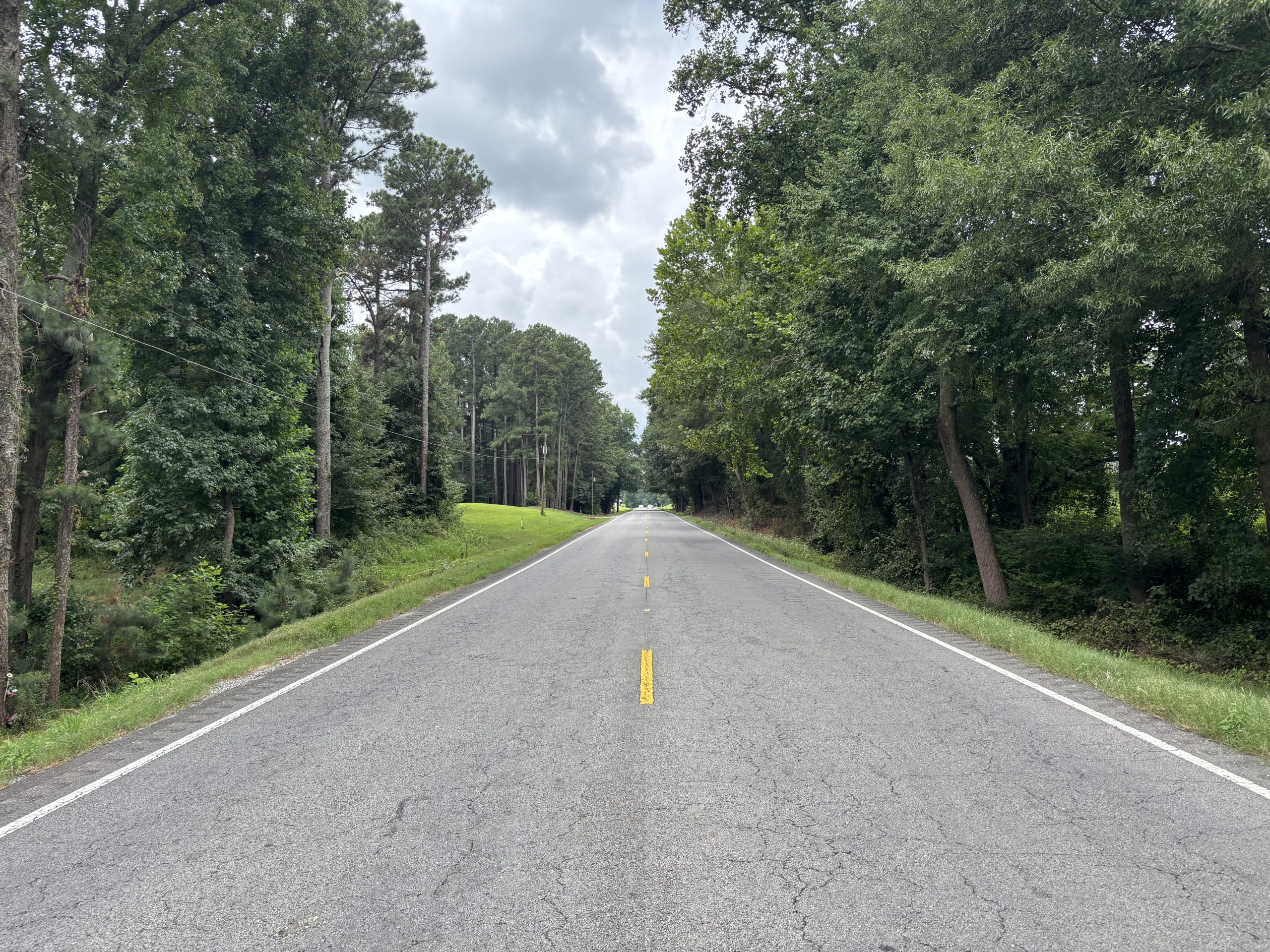 A weathered road running through the woods.
